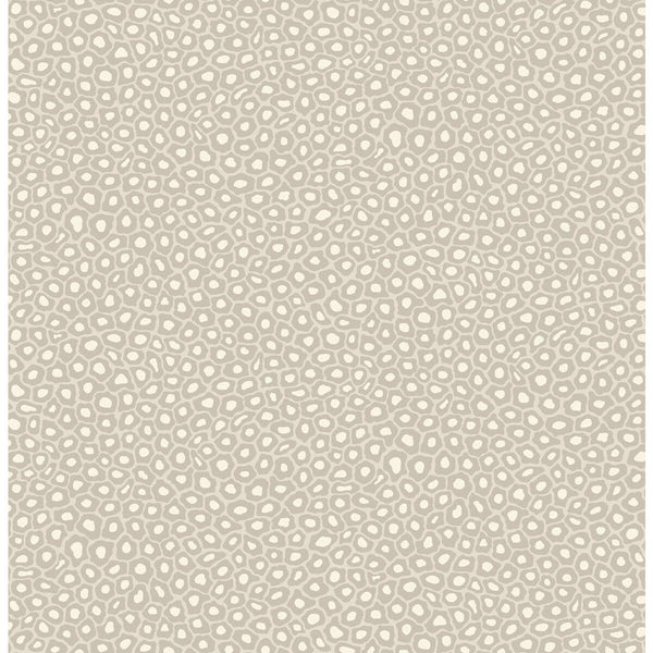 Senzo Spot - Stone & White Beige By Cole & Son | Cole & Son Ardmore |  Wallcovering Print