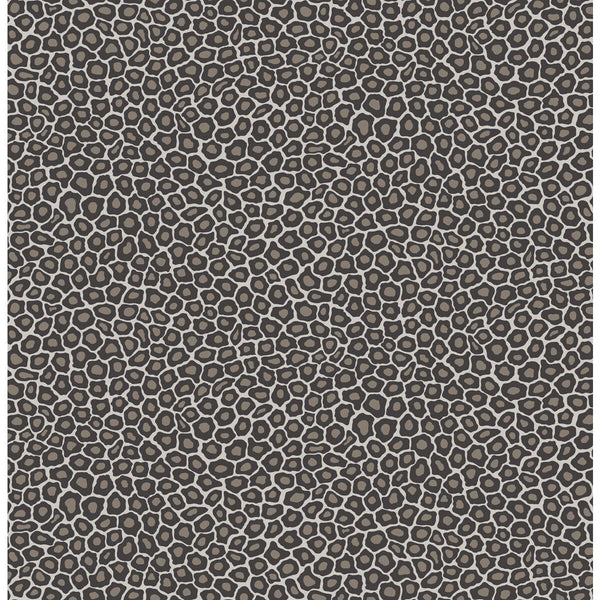 Senzo Spot - Black & White Black By Cole & Son | Cole & Son Ardmore |  Wallcovering Print