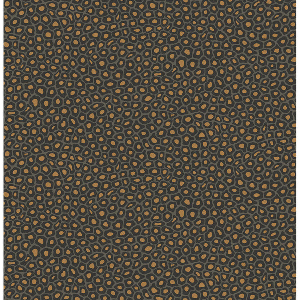 Senzo Spot - Charcoal Grey By Cole & Son | Cole & Son Ardmore |  Wallcovering Print