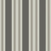 Polo Stripe - Black/White Charcoal By Cole & Son | Cole & Son Marquee Stripes |  Wallcovering Print