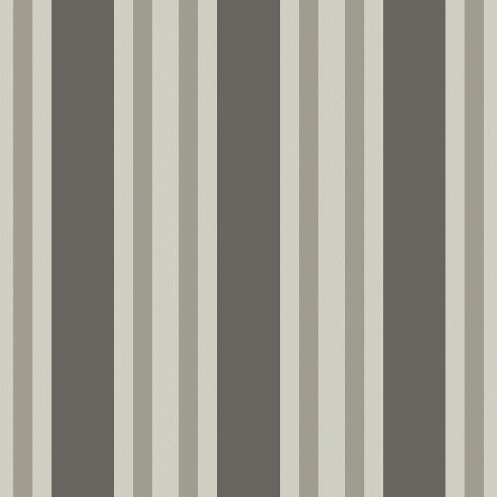 Polo Stripe - Black/White Charcoal By Cole & Son | Cole & Son Marquee Stripes |  Wallcovering Print
