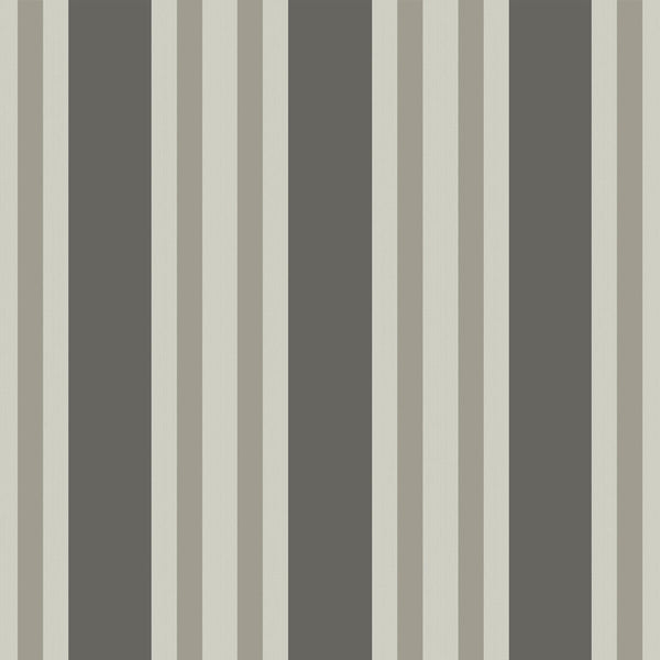 Polo Stripe - Black/White Charcoal By Cole & Son | Cole & Son Marquee Stripes |  Wallcovering Print