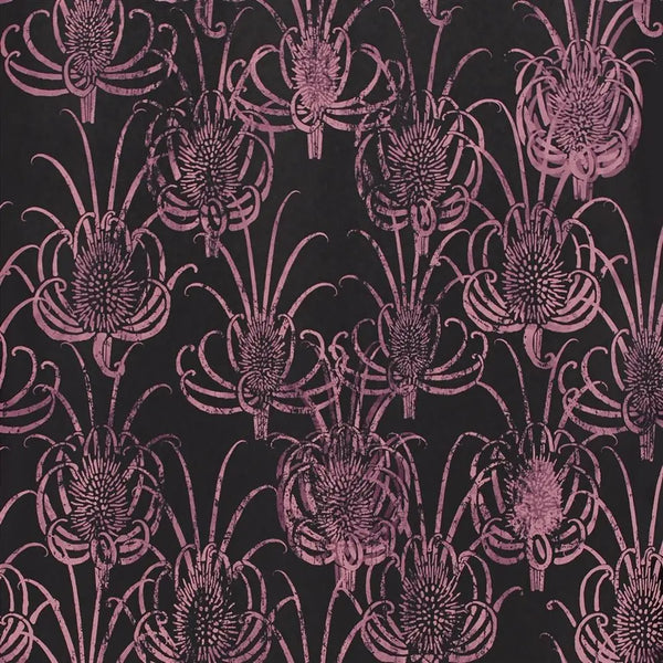 Les Centaurees 06 Pink Black Wallpaper | Christian Lacroix Europe