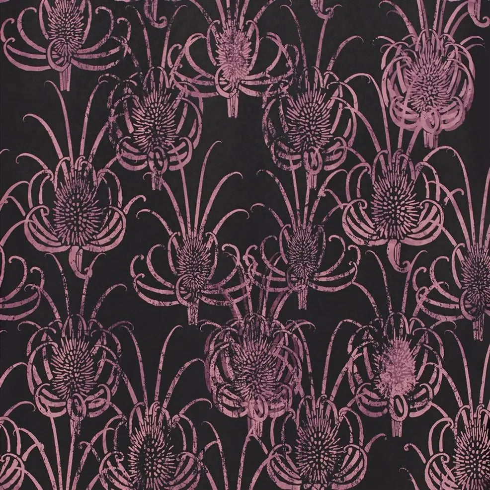Les Centaurees 06 Pink Black Wallpaper | Christian Lacroix Europe