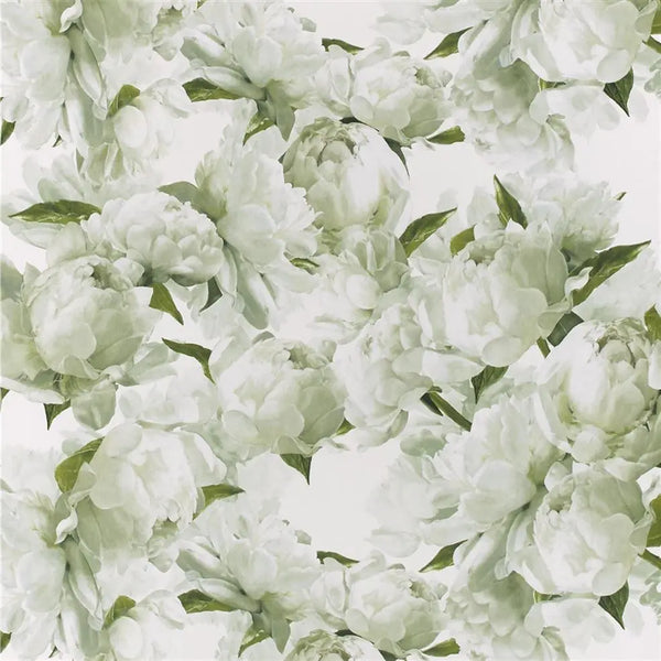 Peonia peonies Floral 03 Chartreuse Wallpaper | Designers Guild Europe