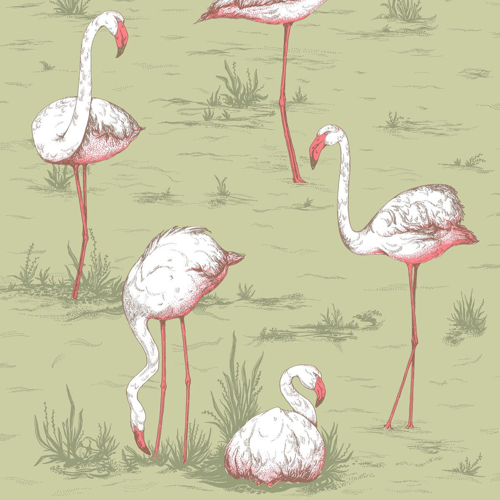 Flamingos - Olive Multi By Cole & Son | Cole & Son Icons | Animal/Insects Wallcovering
