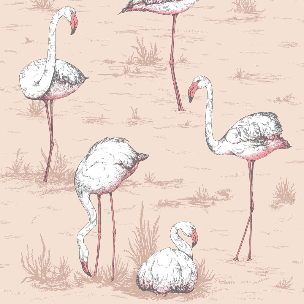 Flamingos - Plaster Pink Multi By Cole & Son | Cole & Son Icons | Animal/Insects Wallcovering