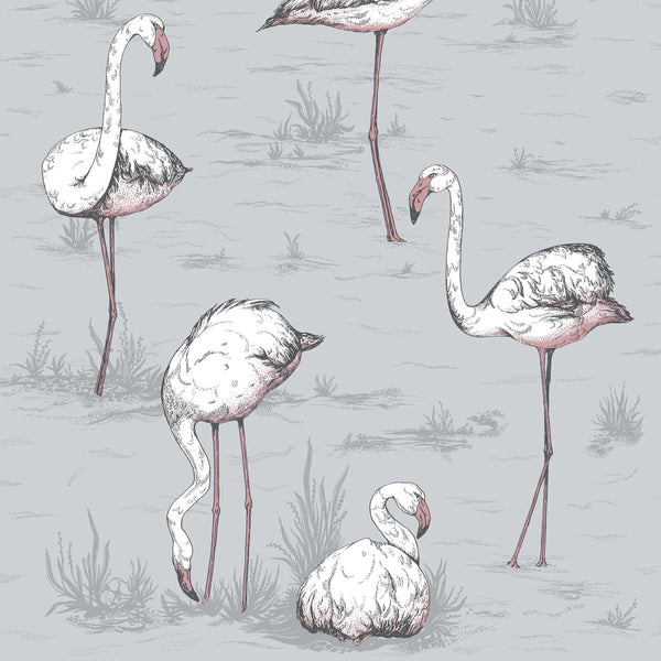Flamingos - Grey Multi | Cole & Son