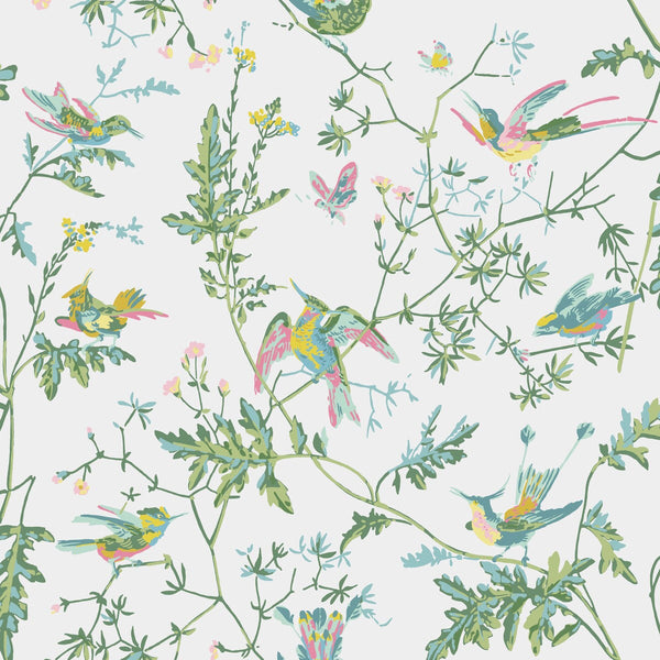 Hummingbirds - Green/Pink Multi By Cole & Son | Cole & Son Selection Of Hummingbirds |Animal/Insects Botanical & Floral Wallcovering Print