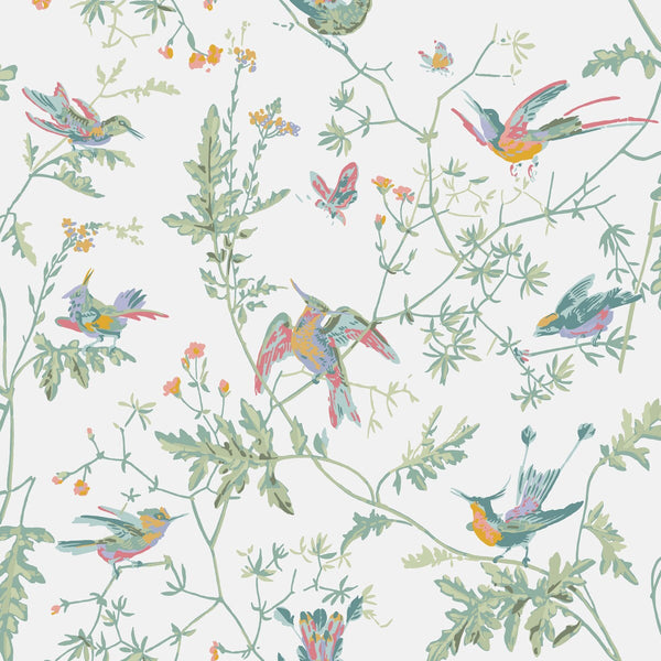 Hummingbirds - Pastel Multi By Cole & Son | Cole & Son Selection Of Hummingbirds |Animal/Insects Botanical & Floral Wallcovering Print