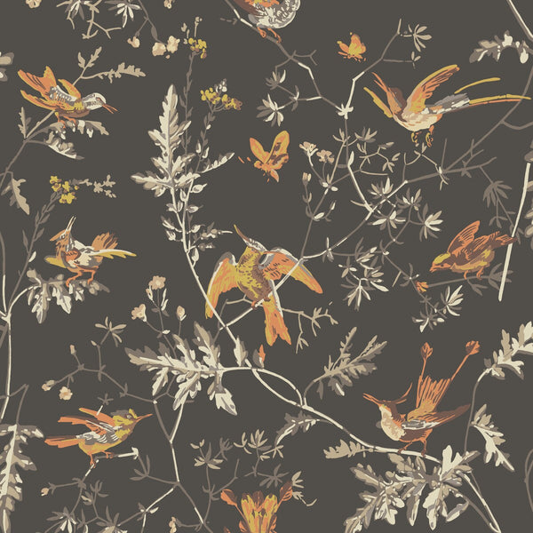 Hummingbirds - Charcoal/Ginger Multi By Cole & Son | Cole & Son Selection Of Hummingbirds |Animal/Insects Botanical & Floral Wallcovering Print