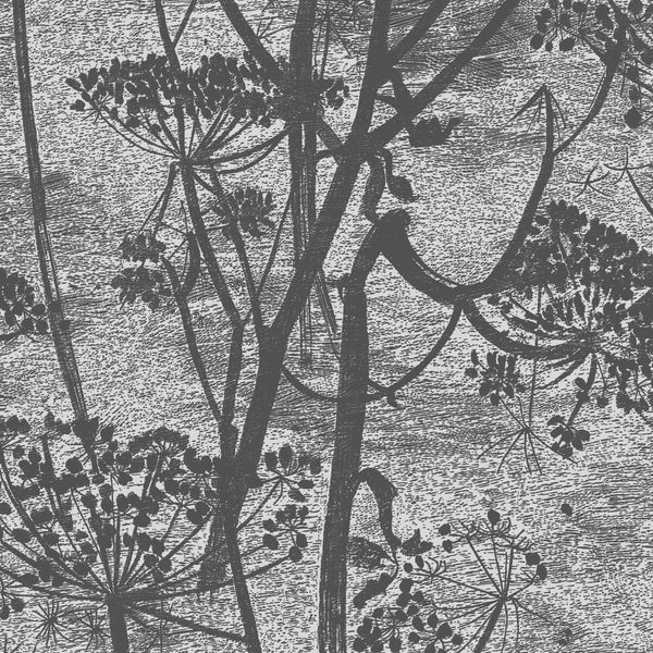Cow Parsley - Charcoal | Cole & Son
