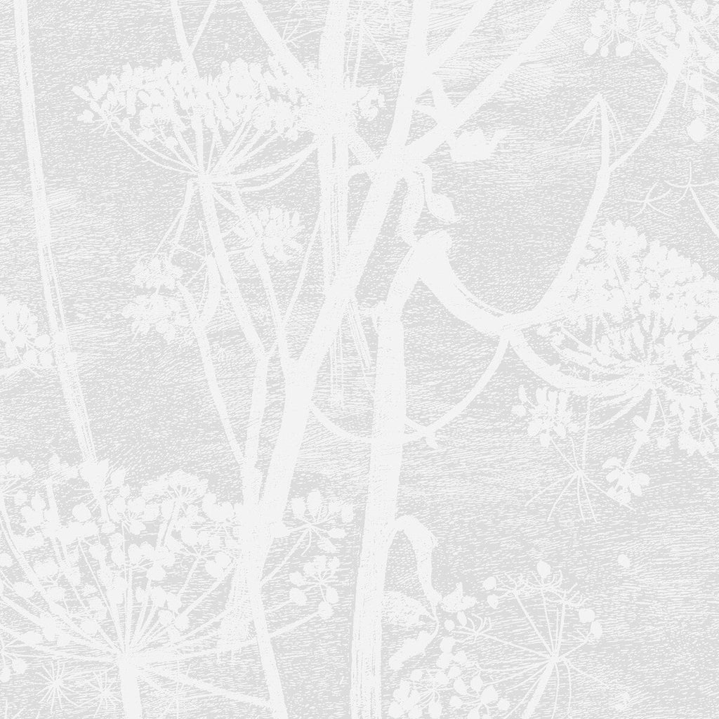 Cow Parsley - White Beige By Cole & Son | Cole & Son Icons | Botanical & Floral Wallcovering