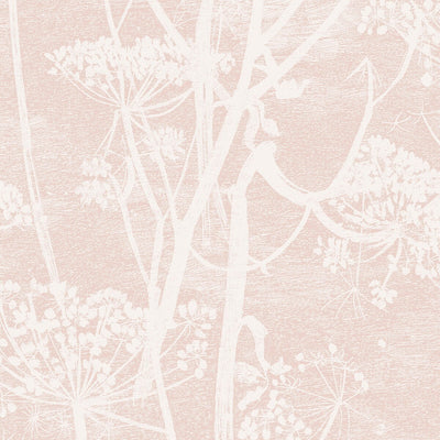 Cow Parsley - Plaster Pink | Cole & Son