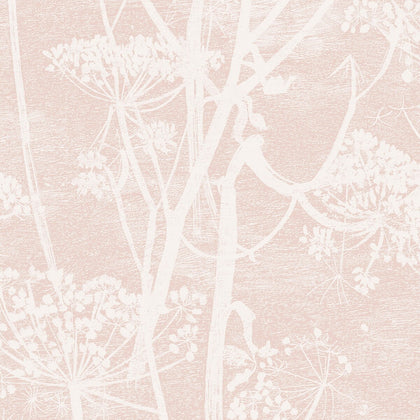 Cow Parsley - Plaster Pink | Cole & Son