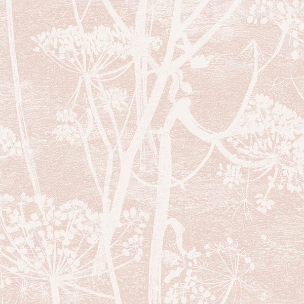 Cow Parsley - Plaster Pink | Cole & Son