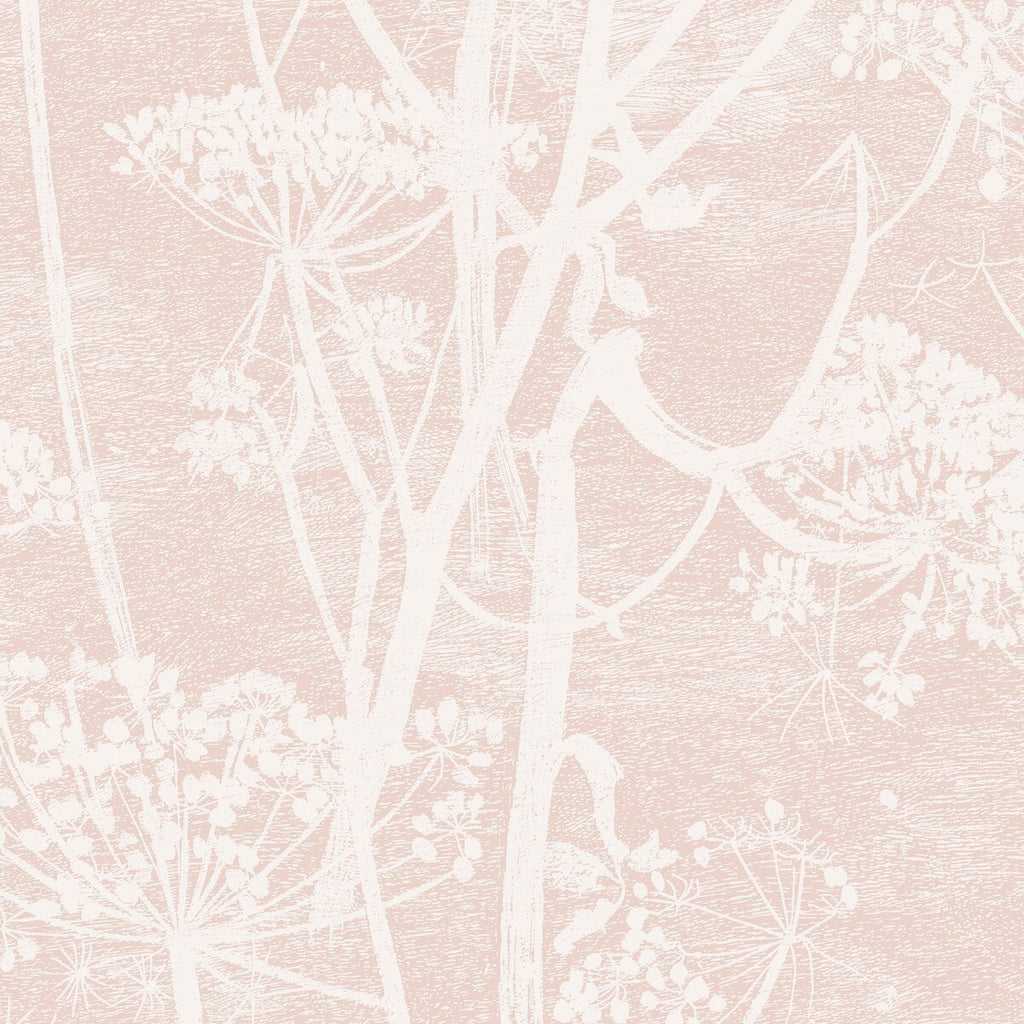 Cow Parsley - Plaster Pink Pink By Cole & Son | Cole & Son Icons | Botanical & Floral Wallcovering