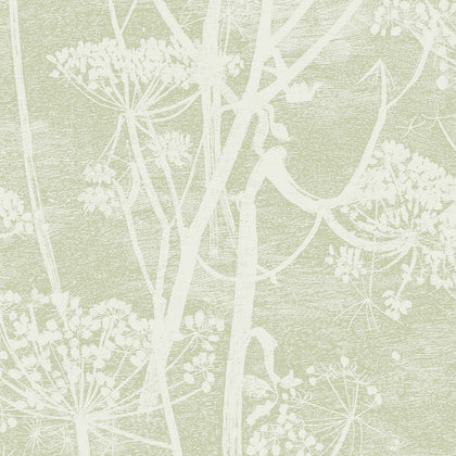 Cow Parsley - Olive Celery | Cole & Son