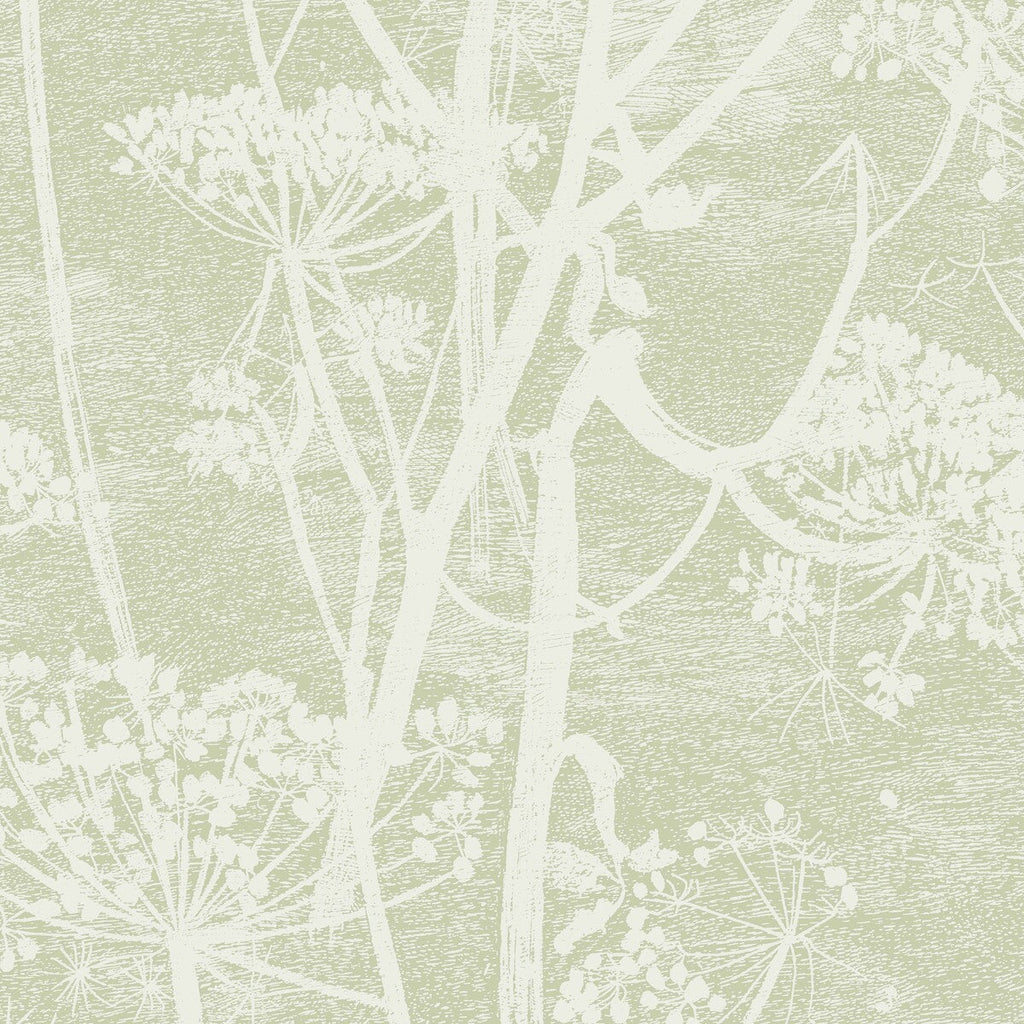 Cow Parsley - Olive Celery By Cole & Son | Cole & Son Icons | Botanical & Floral Wallcovering