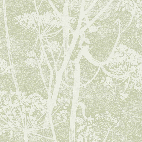 Cow Parsley - Olive Celery By Cole & Son | Cole & Son Icons | Botanical & Floral Wallcovering