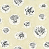 Herbariae 05 Cream Wallpaper | Christian Lacroix Europe