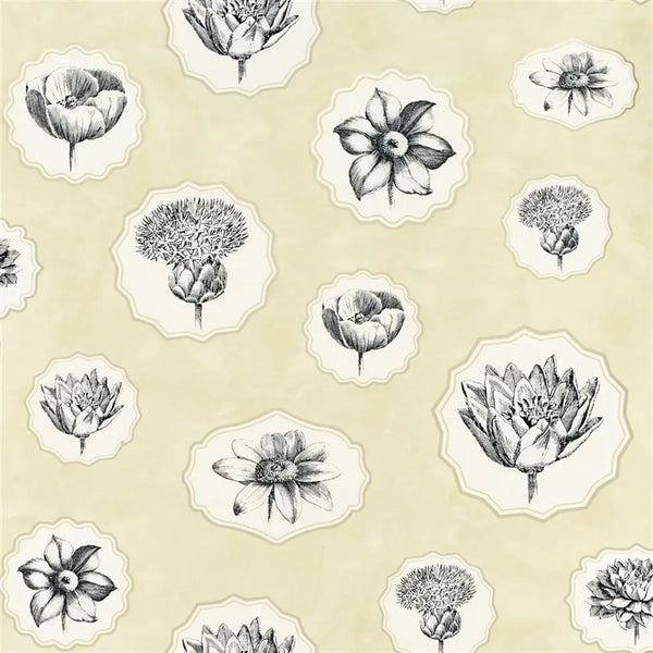 Herbariae 05 Cream Wallpaper | Christian Lacroix Europe