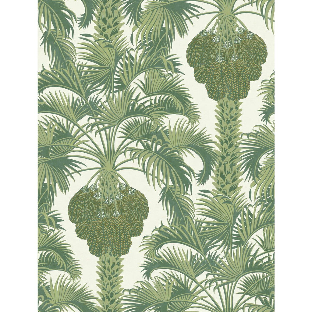 Hollywood Palm - Leaf Green Green By Cole & Son | Cole & Son Martyn Lawrence Bullard | Botanical & Floral Wallcovering