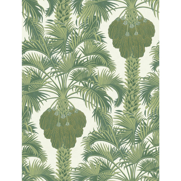 Hollywood Palm - Leaf Green Green By Cole & Son | Cole & Son Martyn Lawrence Bullard | Botanical & Floral Wallcovering