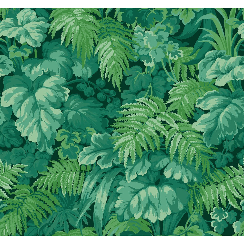 Royal Fernery - Forest Green Green By Cole & Son | Cole & Son Martyn Lawrence Bullard | Botanical & Floral Wallcovering