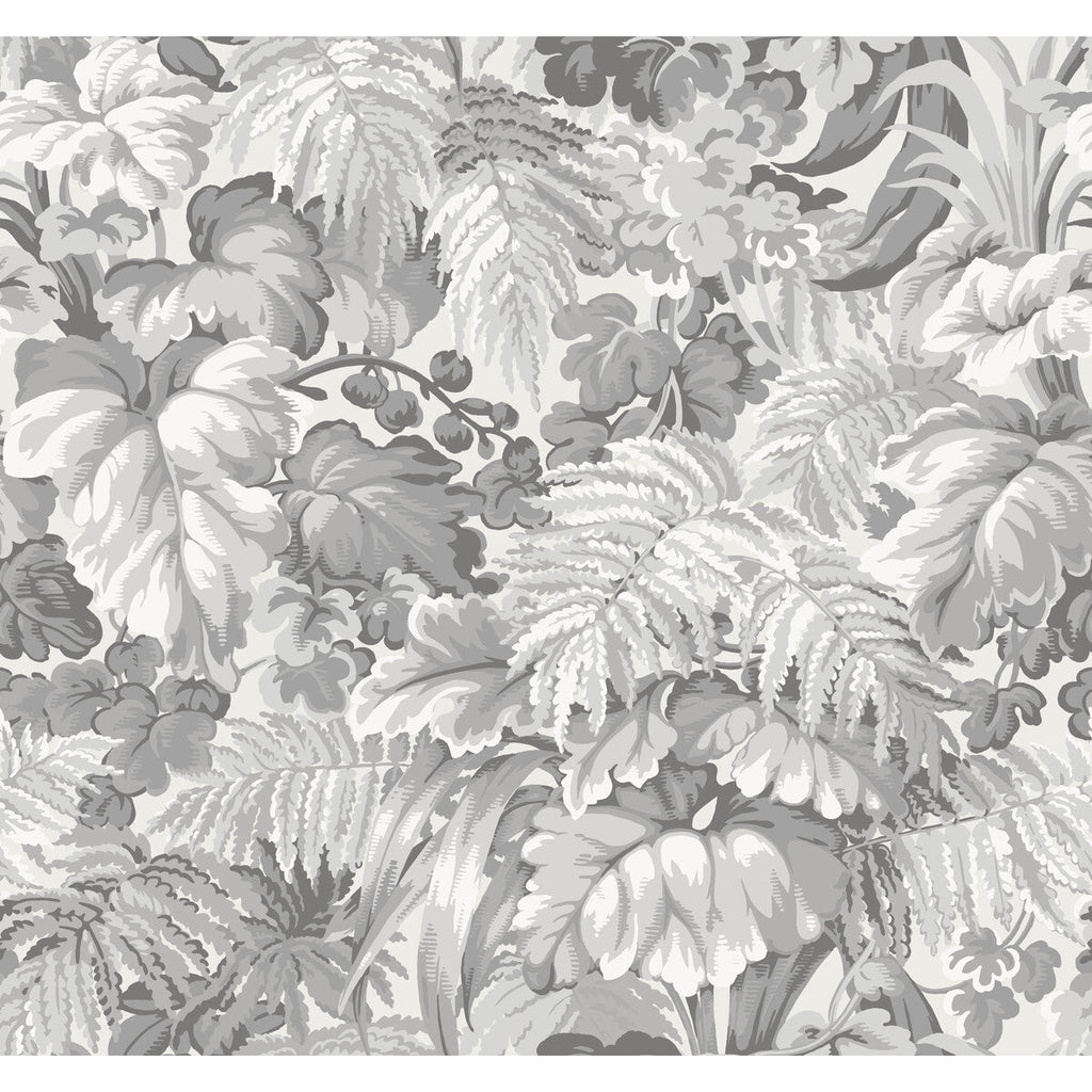 Royal Fernery - Warm Grey Grey By Cole & Son | Cole & Son Martyn Lawrence Bullard | Botanical & Floral Wallcovering