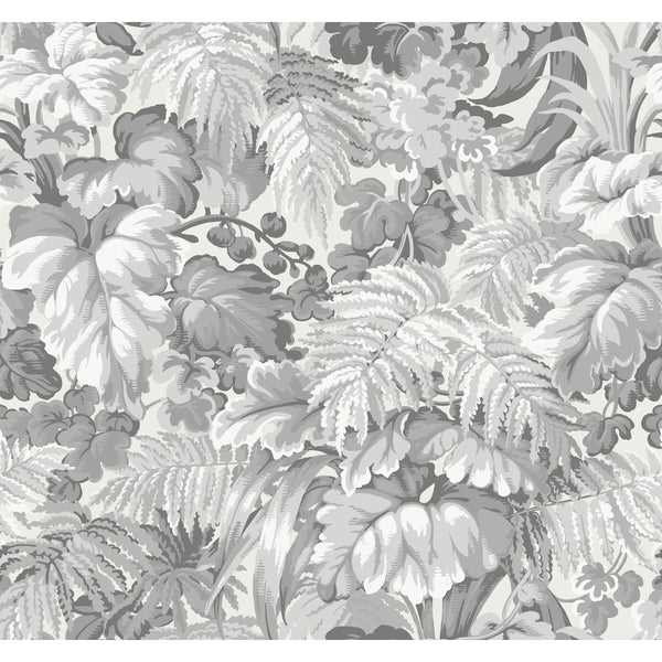 Royal Fernery - Warm Grey Grey By Cole & Son | Cole & Son Martyn Lawrence Bullard | Botanical & Floral Wallcovering