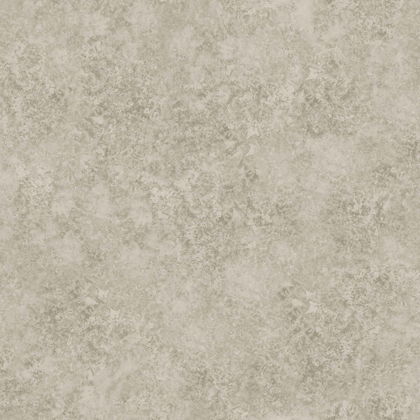 Patina Haze - Warm Gilver Metallic | Cole & Son