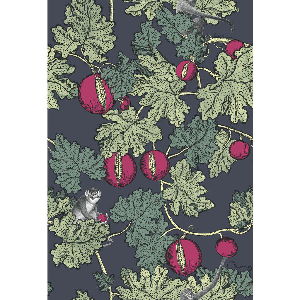 Frutto Proibito - Ink & Magenta Multi By Cole & Son | Cole & Son Fornasetti |  Wallcovering Print