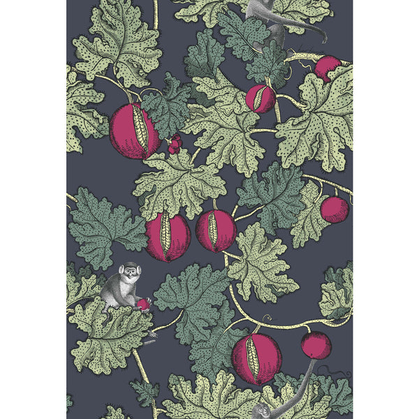 Frutto Proibito - Ink & Magenta Multi By Cole & Son | Cole & Son Fornasetti |  Wallcovering Print
