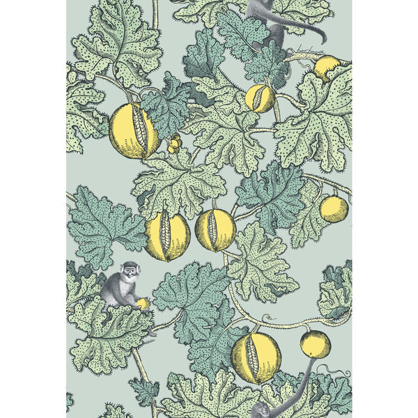 Frutto Proibito - Seafoam & Lemon Multi By Cole & Son | Cole & Son Fornasetti |  Wallcovering Print