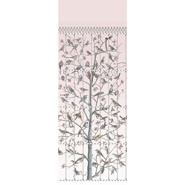 Uccelli - Ballet Slipper Multi | Cole & Son