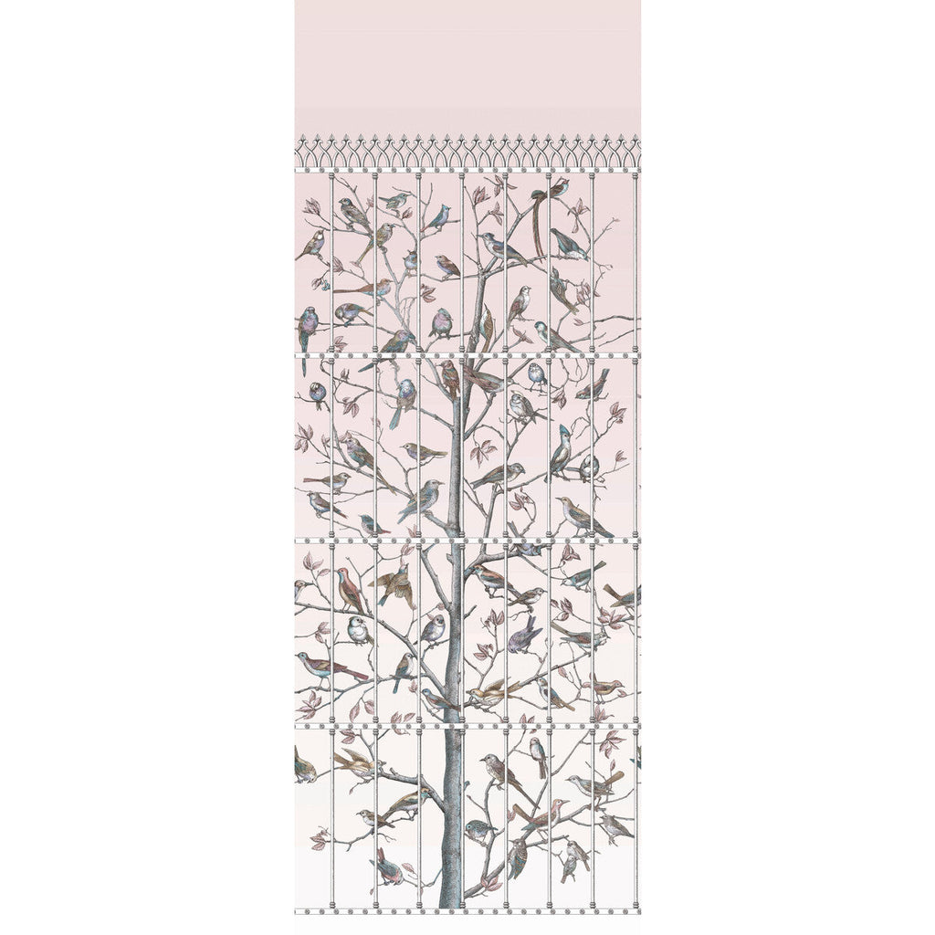 Uccelli - Ballet Slipper Multi By Cole & Son | Cole & Son Fornasetti |  Wallcovering Print