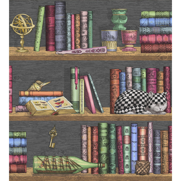 Libreria - Rich Multi Multi By Cole & Son | Cole & Son Fornasetti Senza Tempo |  Wallcovering Print