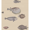 Acquario - Taupe Taupe By Cole & Son | Cole & Son Fornasetti Senza Tempo |  Wallcovering Print