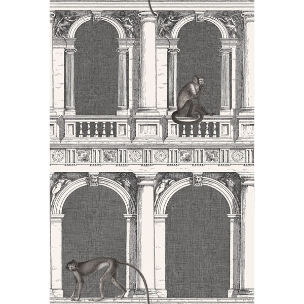 Procuratie E Scimmie - B/W Black | Cole & Son