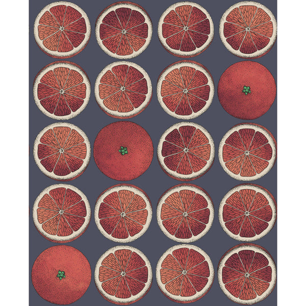Arance - Blood Orange/Ink Multi By Cole & Son | Cole & Son Fornasetti Senza Tempo |  Wallcovering Print