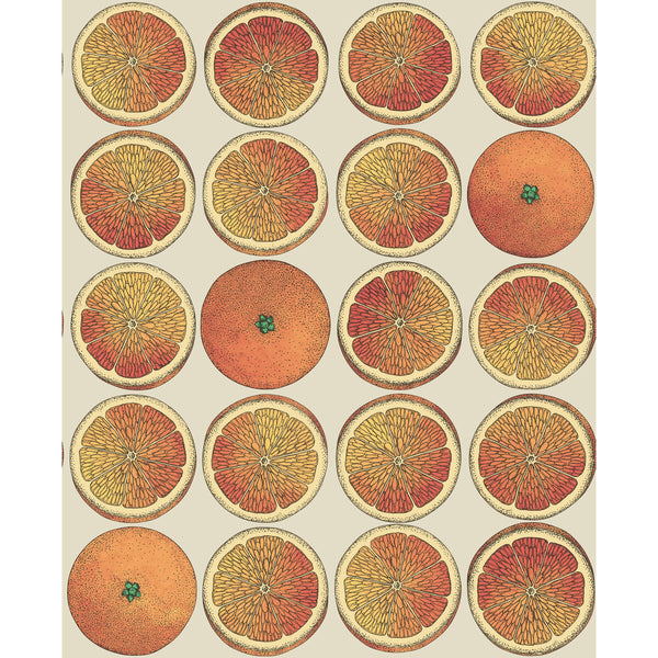 Arance - Orange/Cream Orange By Cole & Son | Cole & Son Fornasetti Senza Tempo |  Wallcovering Print