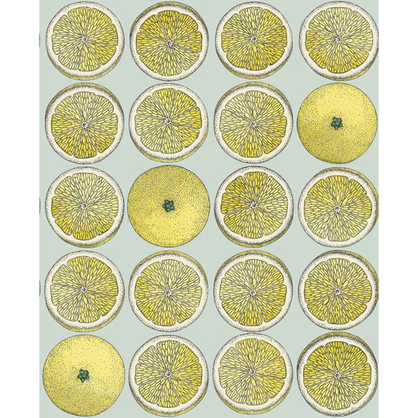 Arance - Lemon/Seafoam Multi By Cole & Son | Cole & Son Fornasetti Senza Tempo |  Wallcovering Print