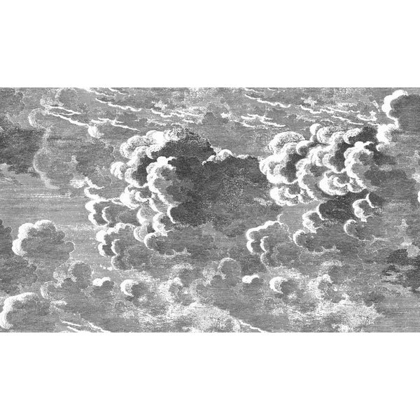 Nuvolette - Black/White Multi | Cole & Son