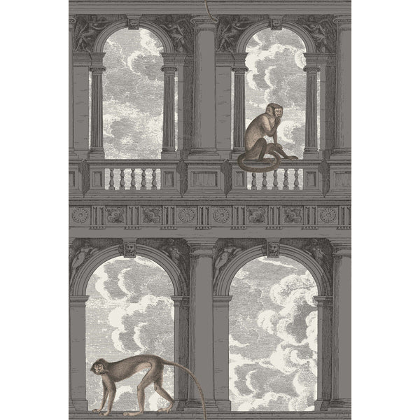 Procuratie Con Vista - Soot & Snow Grey By Cole & Son | Cole & Son Fornasetti |  Wallcovering Print