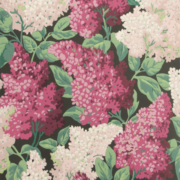 Lilac - Magenta/Blush/Charco Multi By Cole & Son | Cole & Son Botanical Botanica |  Wallcovering Print
