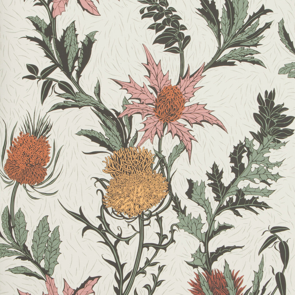Thistle - A Pink/Orange/Parch Multi By Cole & Son | Cole & Son Botanical Botanica |  Wallcovering Print