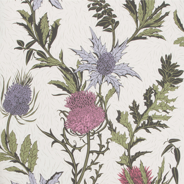 Thistle - Lilac/Cerise/White Multi By Cole & Son | Cole & Son Botanical Botanica |  Wallcovering Print