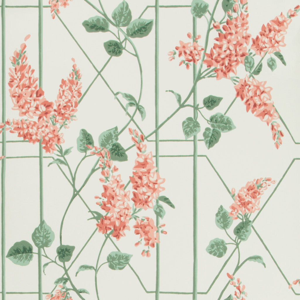Wisteria - Coral/Sage/Parch Multi By Cole & Son | Cole & Son Botanical Botanica |  Wallcovering Print