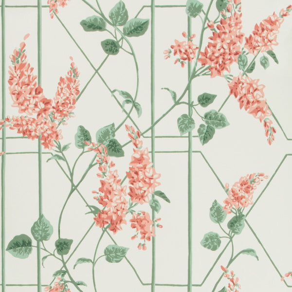 Wisteria - Coral/Sage/Parch Multi By Cole & Son | Cole & Son Botanical Botanica |  Wallcovering Print
